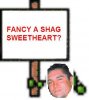 shag1.jpg