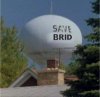 save-brid.jpg