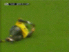 747346821_m.gif