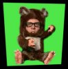 bear.jpg