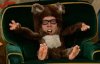 bear2.jpg
