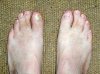 webfeet2c.jpg